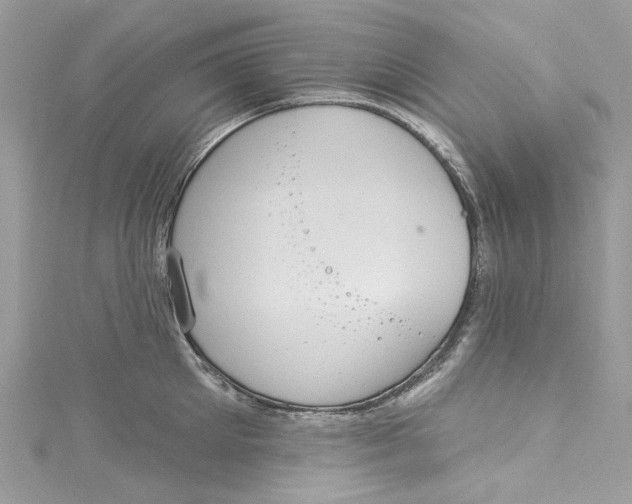 X0000115160905200911171259