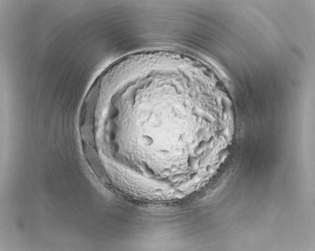 X0000115160907200911171259