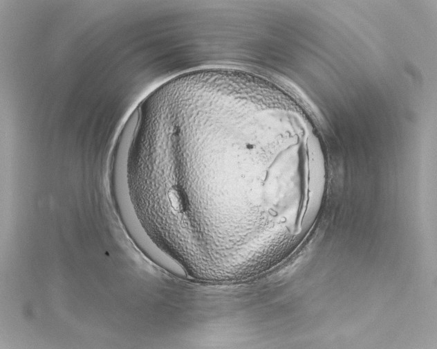 X0000115160908200911171259