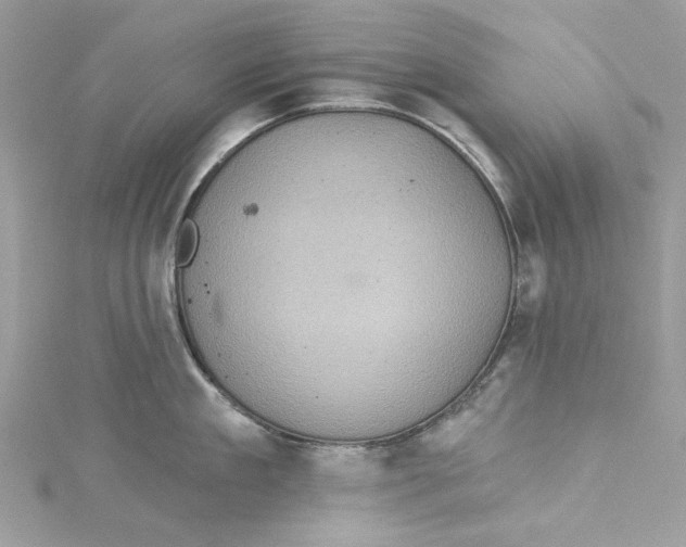 X0000115160909200911171259