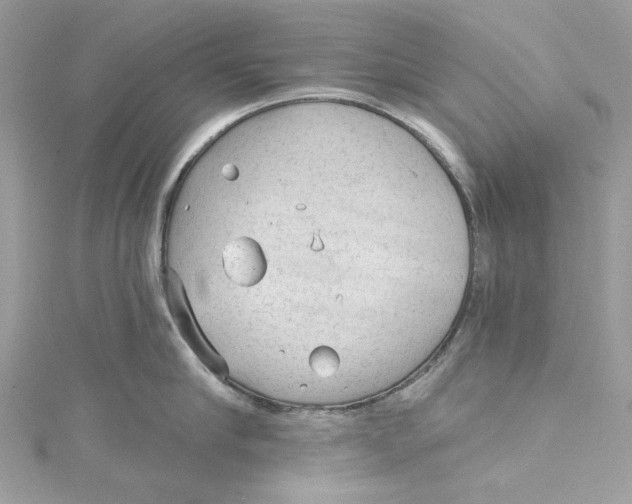 X0000115160910200911171259