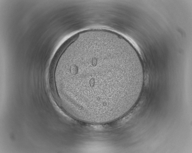 X0000115160911200911171259