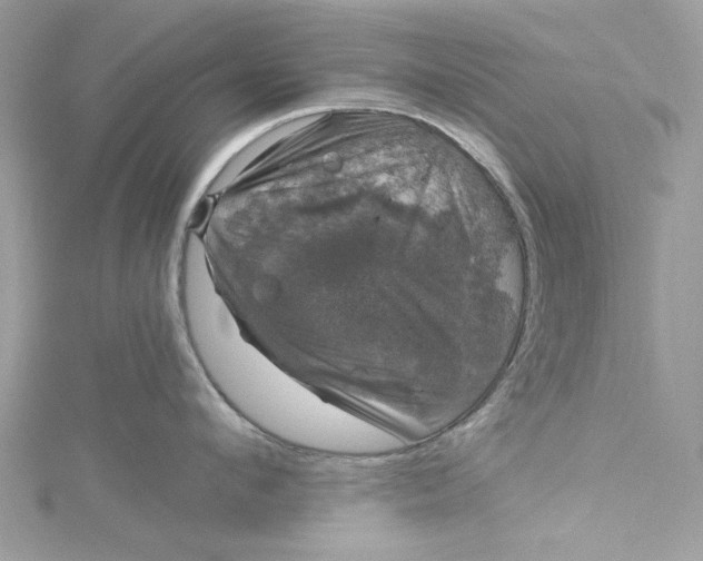 X0000115160912200911171259