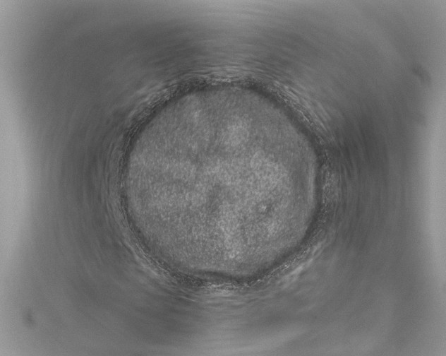 X0000115160913200911171258