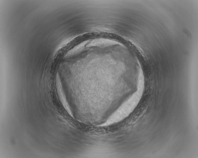 X0000115160919200911171258