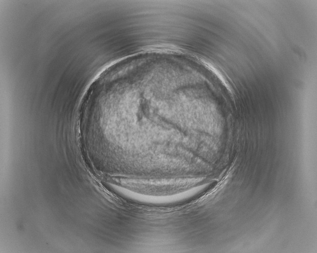 X0000115160923200911171258