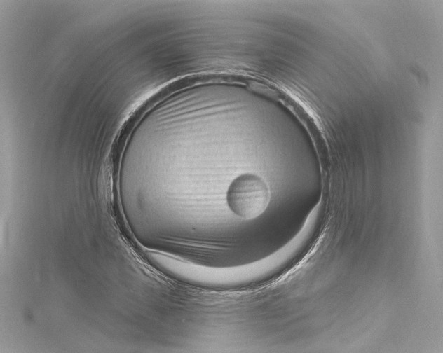 X0000115160925200911171258