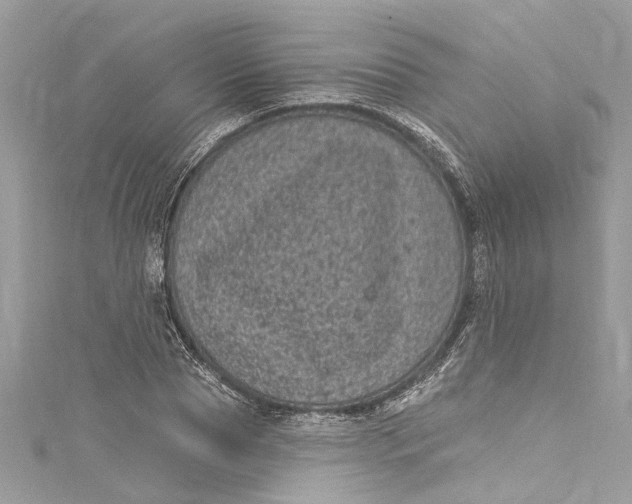 X0000115160929200911171258