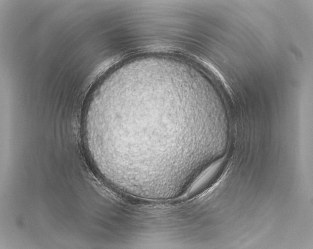 X0000115160930200911171258