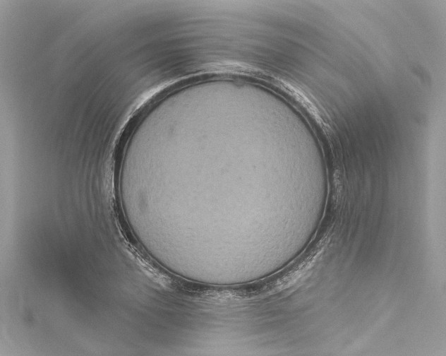 X0000115160931200911171258