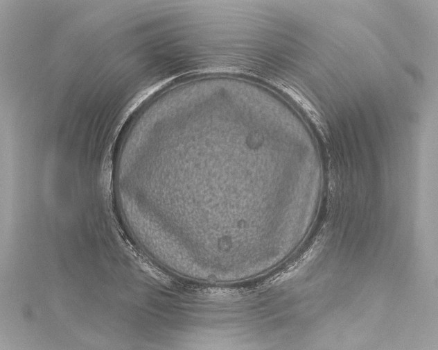 X0000115160933200911171258