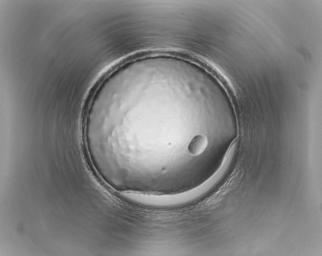 X0000115160935200911171259