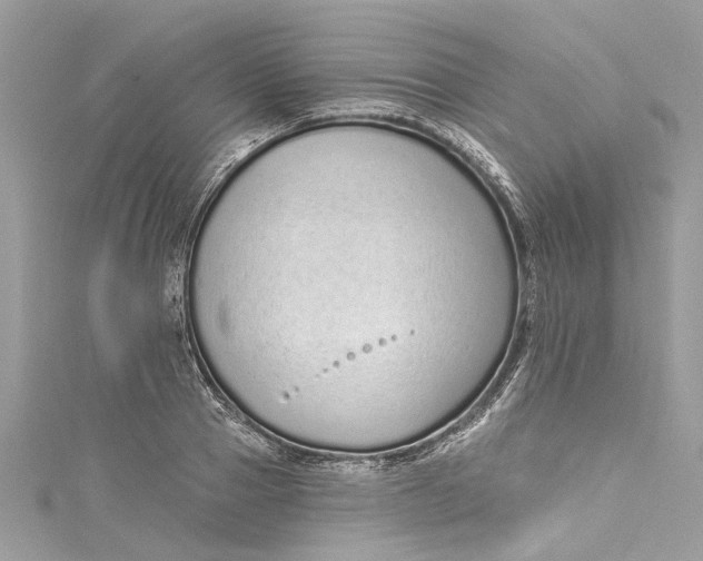 X0000115160937200911171259