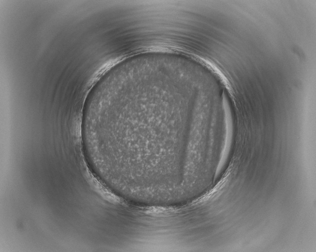 X0000115160938200911171259