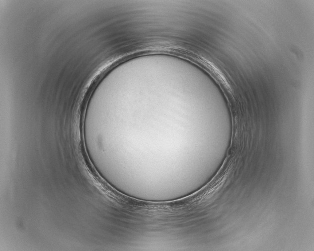 X0000115160939200911171259