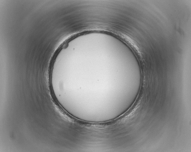 X0000115160942200911171259