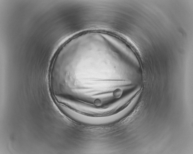 X0000115160943200911171259