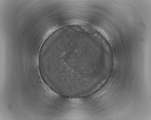 X0000115160946200911171259