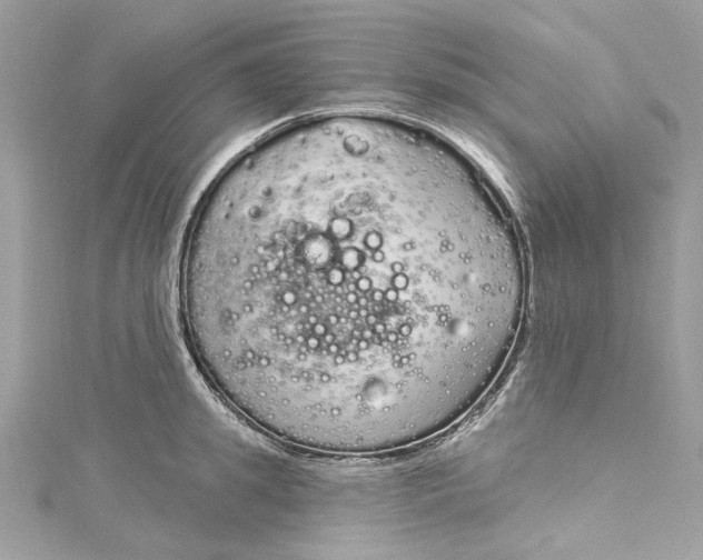 X0000115160949200911171259