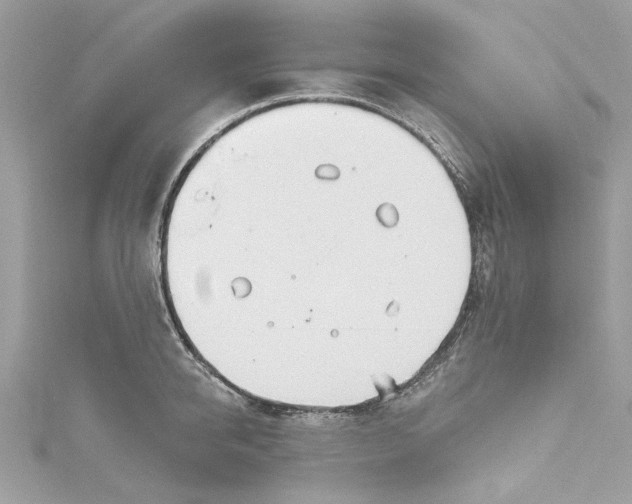 X0000115160950200911171259