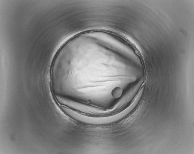 X0000115160951200911171259