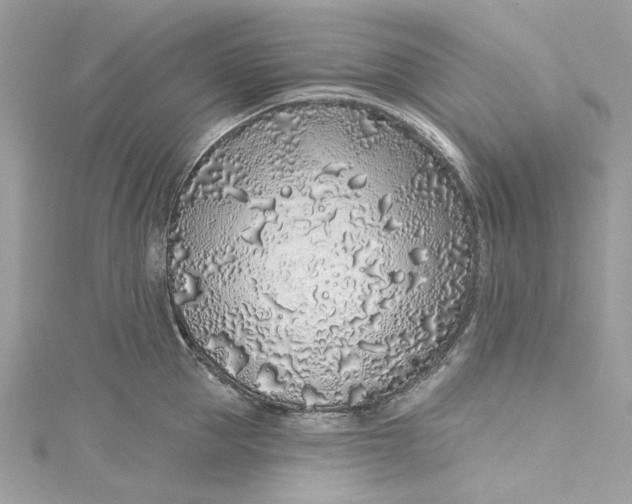 X0000115160953200911171259