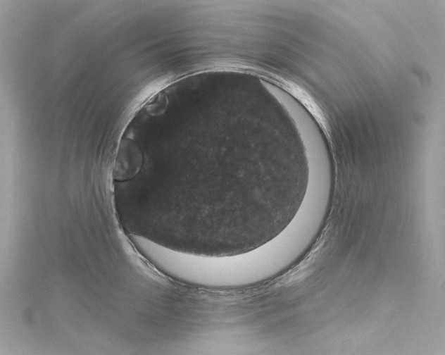 X0000115160954200911171259