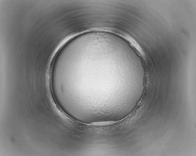 X0000115160955200911171259