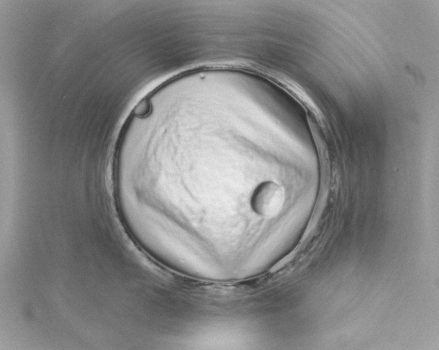 X0000115160959200911171259