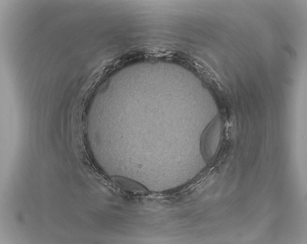 X0000115160961200911171258