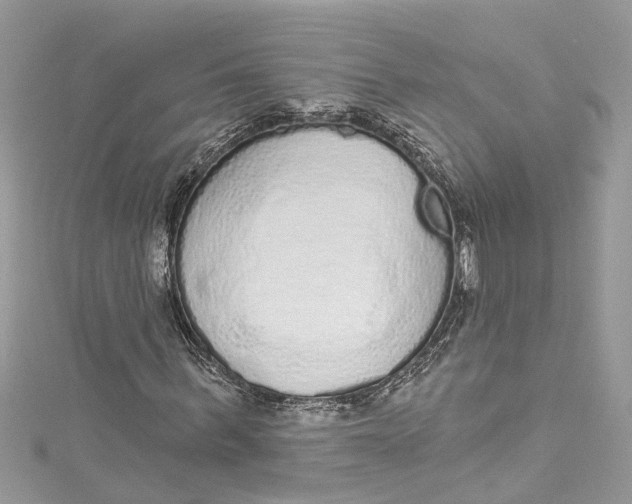 X0000115160963200911171258