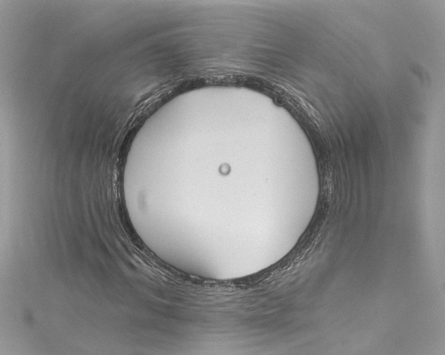 X0000115160964200911171258