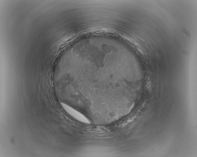 X0000115160966200911171258