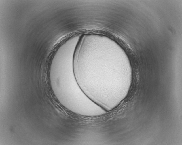 X0000115160968200911171258