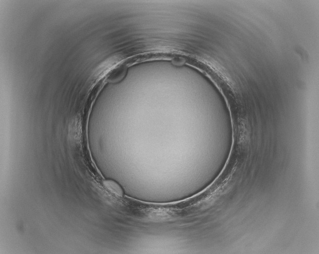 X0000115160969200911171258