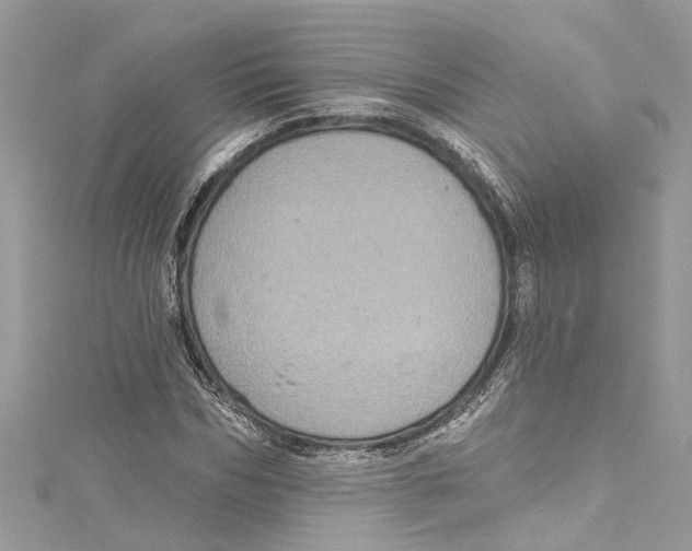 X0000115160970200911171258