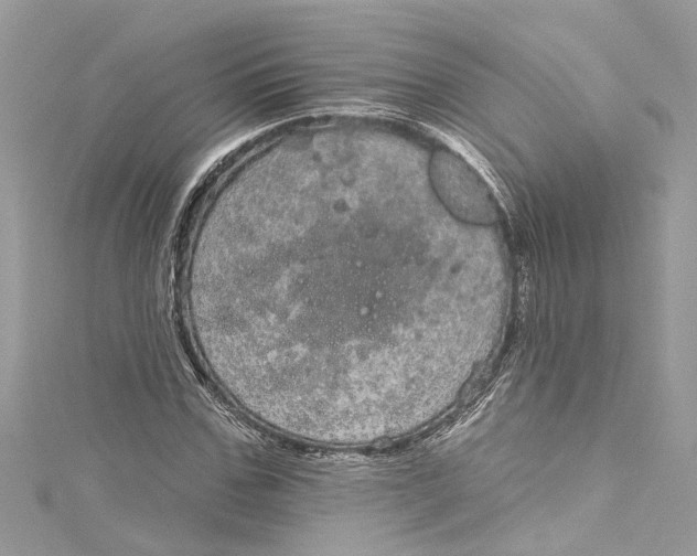 X0000115160971200911171258