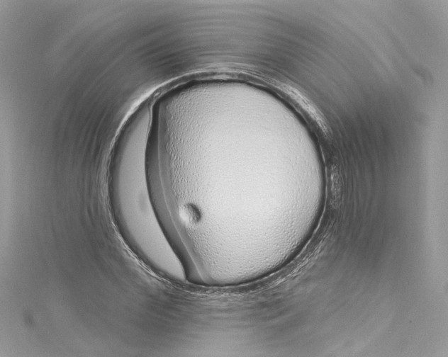 X0000115160972200911171258