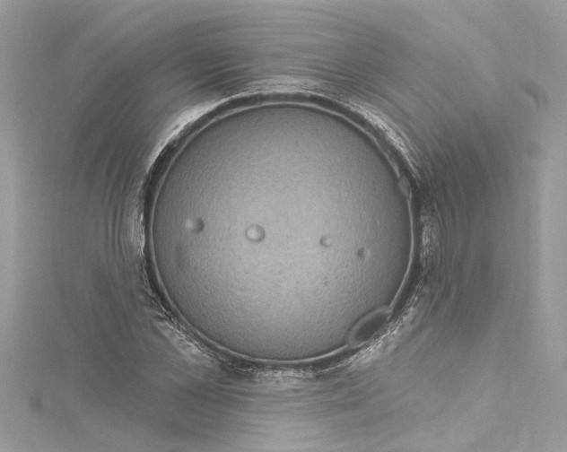 X0000115160973200911171258