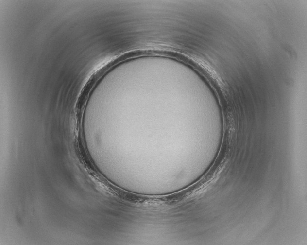 X0000115160974200911171258