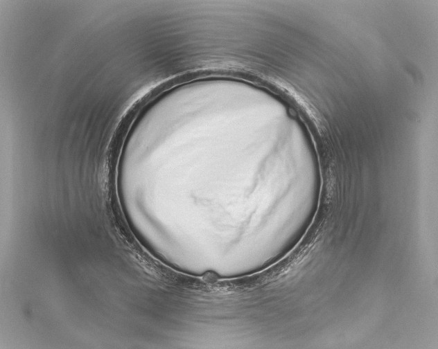 X0000115160975200911171258