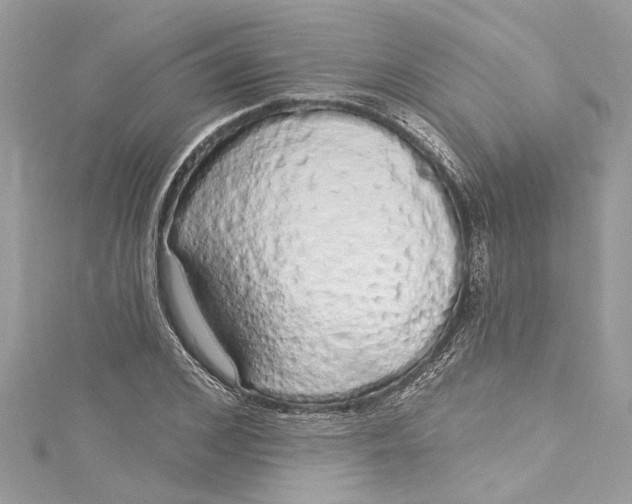 X0000115160976200911171258