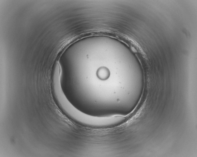 X0000115160977200911171258