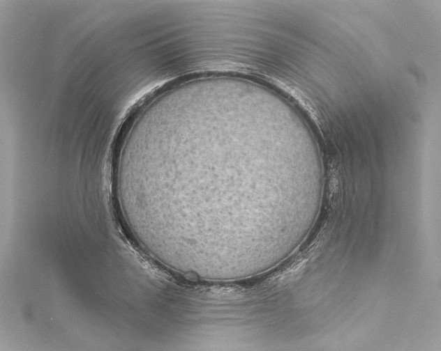 X0000115160979200911171258