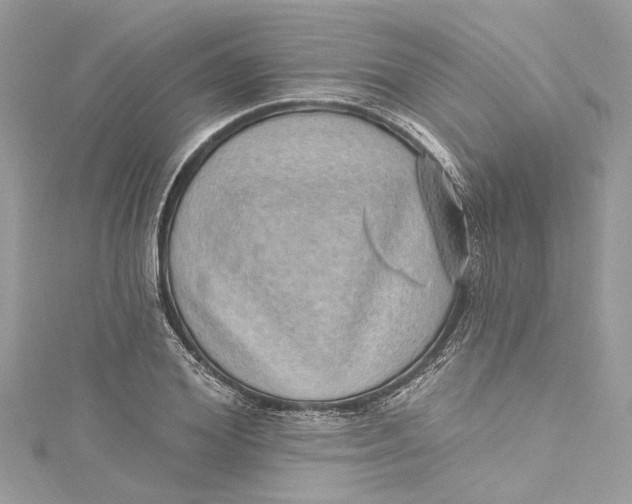 X0000115160980200911171258