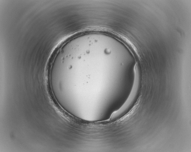 X0000115160981200911171258