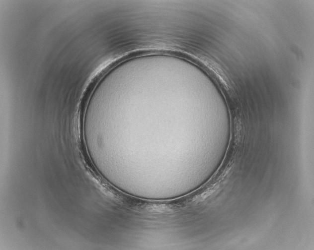 X0000115160982200911171258