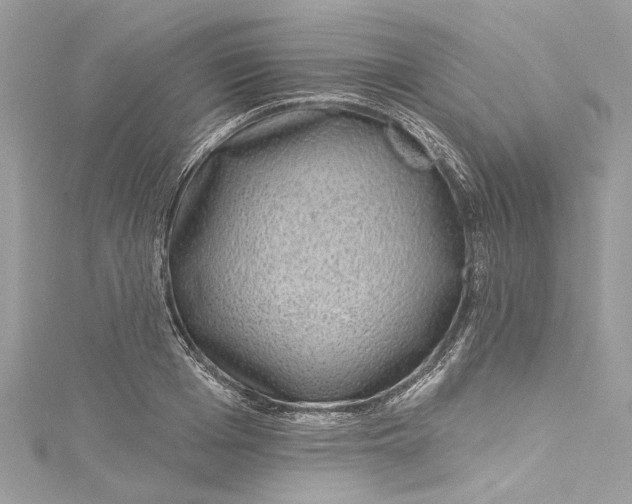 X0000115160985200911171258