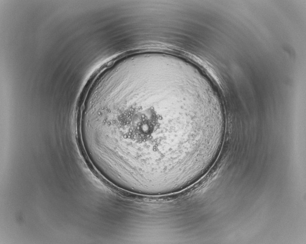 X0000115160987200911171258