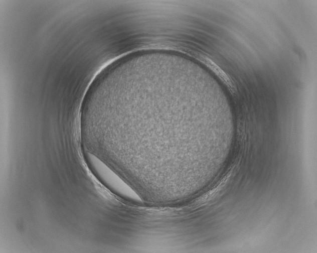 X0000115160988200911171258